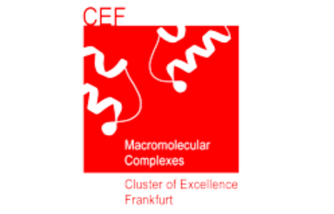 Logo cef spaced