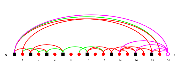 Protein graph